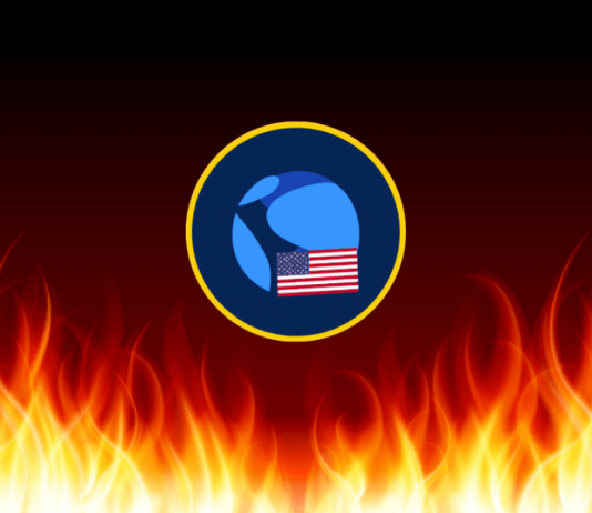 Terra Traditional Validator Presents ‘Legally Absolved Route’ To Burn 800 Million USTC