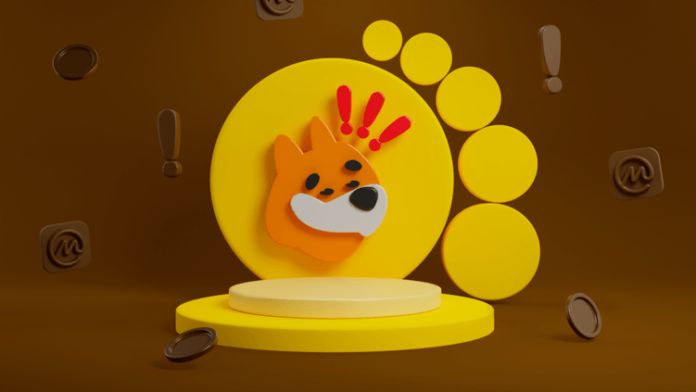 Prime three Meme Cash Beneath $50M Market Cap That Might Make You A millionaire Like BONK