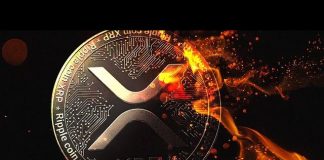 Crypto Founder Predicts XRP Worth Will Hit $22, Right here’s When