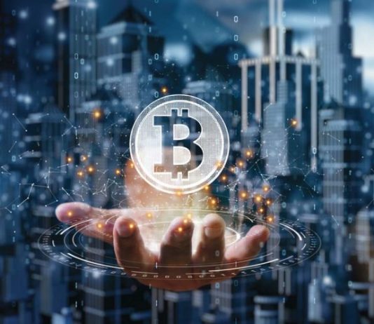 Institutional Buyers Enhance Bitcoin Urge for food Forward Of Spot ETF, Report Reveals