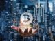 Institutional Buyers Enhance Bitcoin Urge for food Forward Of Spot ETF, Report Reveals