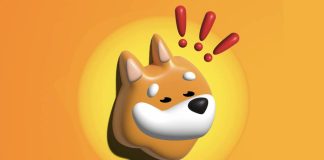 Why BONK is No Unusual Meme Coin