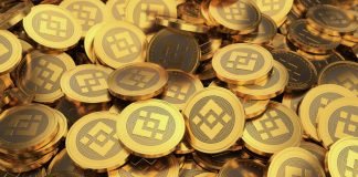 Crypto Analyst Predicts Large 99% BNB Worth Crash To $2