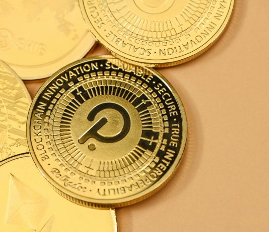 Polkadot Reveals Bearish Sign, Analyst Predicts Drawdown To This Goal