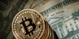 Billionaire Tim Draper Predicts When The Bitcoin Value Will Attain $250,000