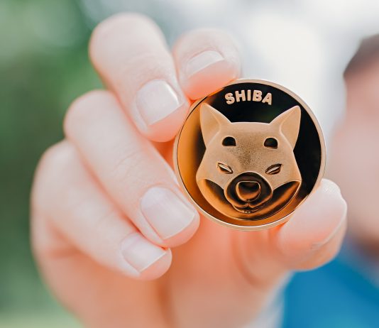 Shiba Inu Whale Strikes $45 Million In SHIB, Bullish?