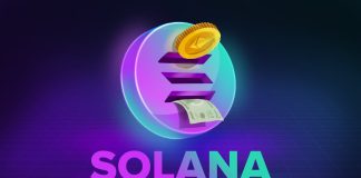 Solana Meme Cash: A Information to Shopping for, Buying and selling, And Profiting From SOL Investments