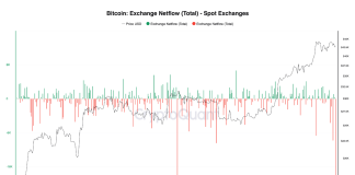 Bitcoin Whales Purchased The Latest Dip Whereas Market Panicked