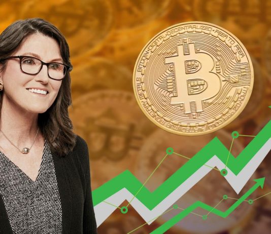 ARK Make investments Pivots To Bitcoin As Cathie Wooden Expects BTC Value To Explode
