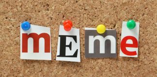 Avalanche To Help Meme Cash; AVAX To The Moon?