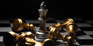 Dogecoin And XRP Beat Out Cardano And Solana To Safe New Milestone