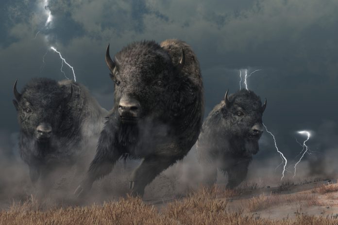 Bitcoin Development Energy Reveals Placing Similarities With Final Bull Run Bitcoin Development Energy Reveals Placing Similarities With Final Bull Run