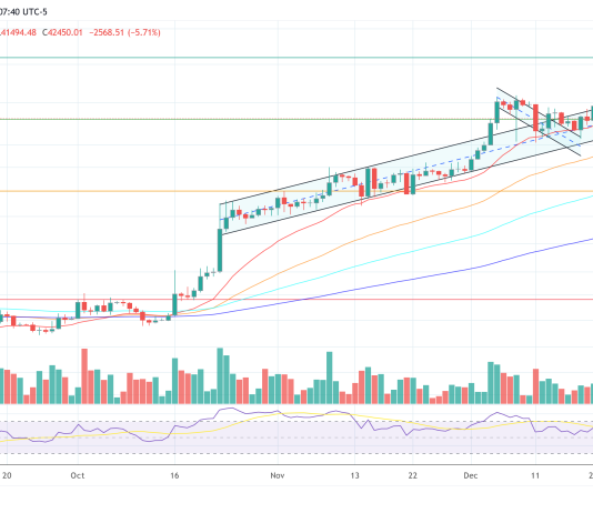 Bitcoin Crashes To $41,500 As ETF Approval Hangs In Steadiness: Consultants Bitcoin Crashes To $41,500 As ETF Approval Hangs In Steadiness: Consultants