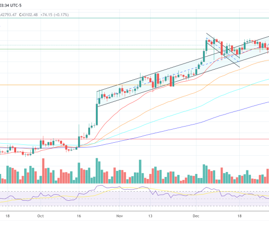 Bitcoin Worth Reclaims $43,000 On Rumor Of ETF Approval Tomorrow Bitcoin Worth Reclaims $43,000 On Rumor Of ETF Approval Tomorrow