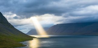 Bitcoin Worth Omega Candle “Very Actual” Says This Developer, Right here’s Why