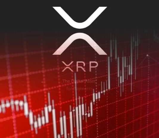 Crypto Analyst Identifies XRP Bear Flag To Set off A Huge Crash To $0.07