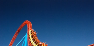 Cardano’s 2024 Rollercoaster: Value Plunges 18% Regardless of 250% Surge In Improvement Exercise