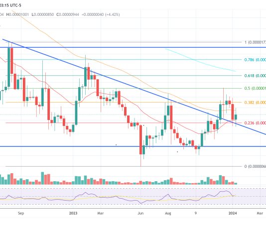 Shiba Inu Lead Dev Hints At Main Progress As SHIB Holds Key Assist