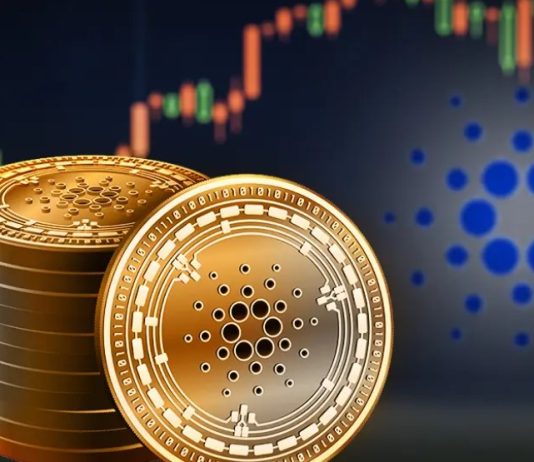 Is Cardano The Subsequent Solana? Institutional Buyers Clamor For ADA Publicity