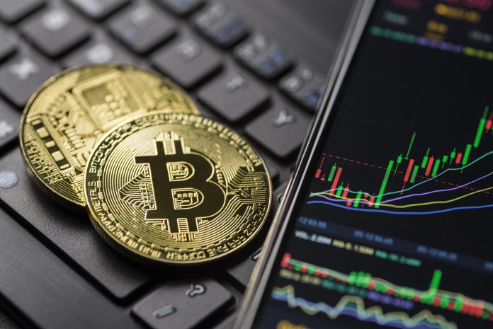 2024 Bitcoin Preview: Crypto Analyst Weighs In On BTC Value Motion
