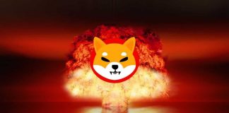 Shiba Inu Staff’s File 9.35 Billion SHIB Burn Sends Burn Charge Hovering