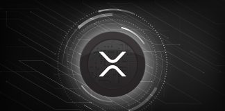 Was 50% Of XRP Provide Despatched To Bitfinex? Separating Info From Fiction