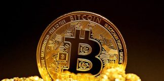 Bitcoin Gearing Up For Restoration As Giant Whales Cease Transferring Outdated Cash