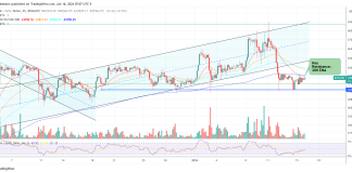 Bitwise CIO Equates Bitcoin ETF Affect To 1.Four Halvings: What This Means