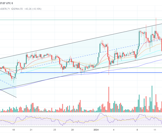 Bitwise CIO Equates Bitcoin ETF Affect To 1.Four Halvings: What This Means Bitwise CIO Equates Bitcoin ETF Affect To 1.Four Halvings: What This Means