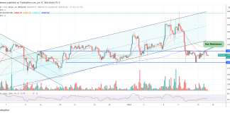 The Grayscale Impact: The Bitcoin Value Has A New Prime Buying and selling Hour