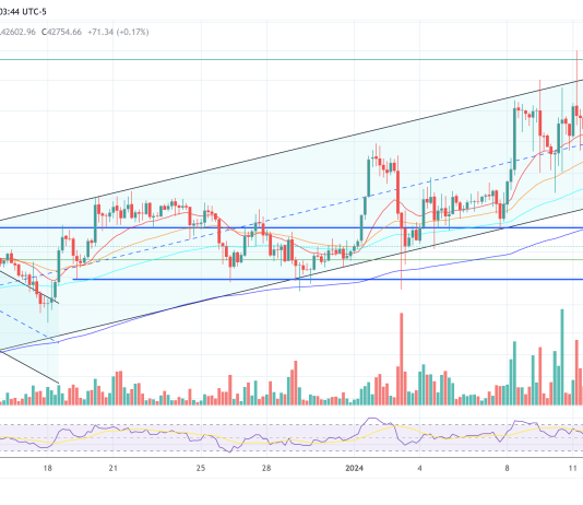 The Grayscale Impact: The Bitcoin Value Has A New Prime Buying and selling Hour