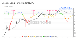 HODLing Rewards: Common Bitcoin Lengthy-Time period Holder Now Carries 55% Revenue