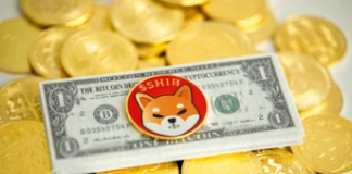Robinhood Goes Shiba Loopy, Buys 230 Billion SHIB In 24 Hours – Right here’s The Scoop Robinhood Goes Shiba Loopy, Buys 230 Billion SHIB In 24 Hours – Right here’s The Scoop
