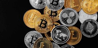 Bridging the Divide: Cryptocurrency Mainstream Adoption