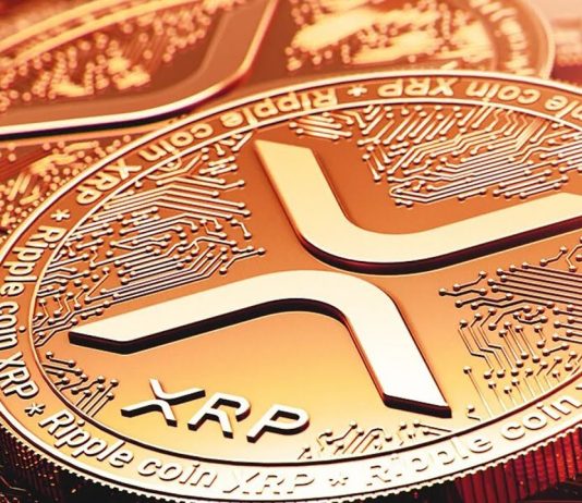 Ripple CTO Breaks Down XRP Distribution And Who Managed 99% Of Provide At Genesis