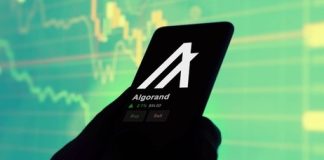 Algorand (ALGO) Stuns In This autumn: Market Cap Soars, TVL Doubles, And Person Base Skyrockets