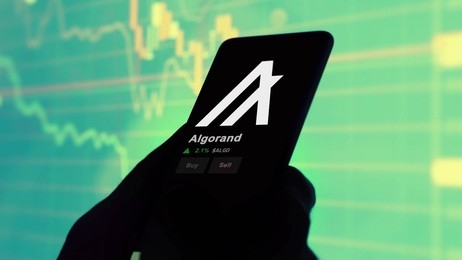 Algorand (ALGO) Stuns In This autumn: Market Cap Soars, TVL Doubles, And Person Base Skyrockets Algorand (ALGO) Stuns In This autumn: Market Cap Soars, TVL Doubles, And Person Base Skyrockets