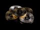 Constancy Bitcoin Spot ETF Data $1 Billion In Internet Inflows – Particulars