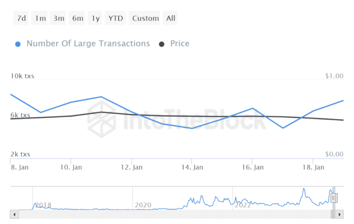Whales Go Wild: Cardano Transactions Surge 11% – Value Hike Incoming?