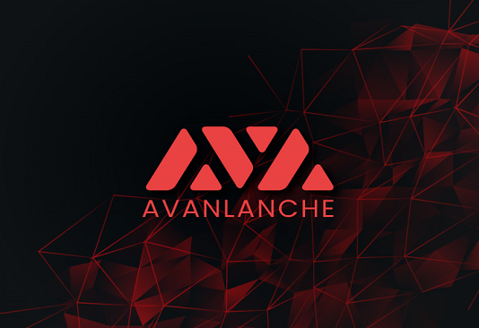 How To Purchase, Promote, And Commerce Tokens On The Avalanche Community
