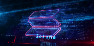 From Highs To Lows: Solana’s Worth Journey – Can It Get better From FOMO Fumble?