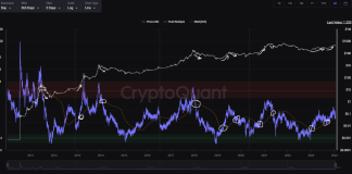 Bitcoin Puell A number of At Essential Juncture: Will Retest Save Rally?