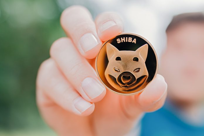 Shiba Inu Ecosystem Soars: Shibarium Hits Essential Milestone