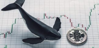 Bitcoin Lengthy Positions Surge On Bitfinex: Whales Add 4,230 BTC, Signaling Potential Value Reversal