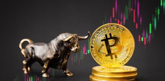 Analyst Predicts Bitcoin to Hit $250,000 Earlier than Halving