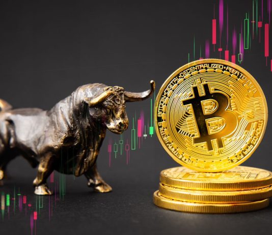 Analyst Predicts Bitcoin to Hit $250,000 Earlier than Halving