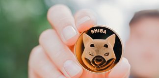 Shiba Inu Burn Fee Surges Over 1,400%, As Value Recovers