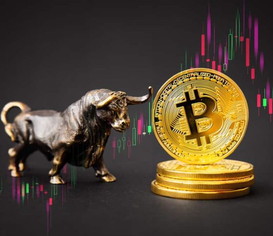 Skybridge Capital CEO Reveals When Bitcoin Value Will Attain $170,000