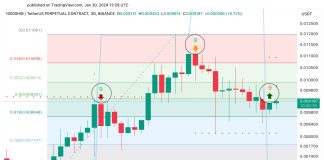 Shiba Inu Prints Uncommon Bullish Sign, Eyes This Value Goal