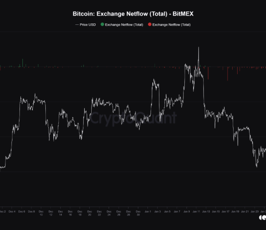 BitMEX Whales Purchase Bitcoin: What Historical past Says Will Occur Subsequent